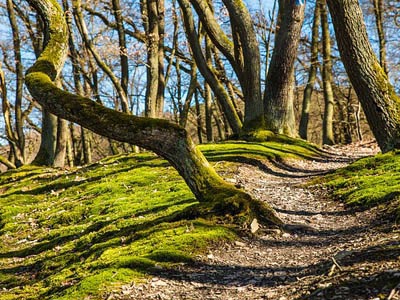 cc攻击免费网页版